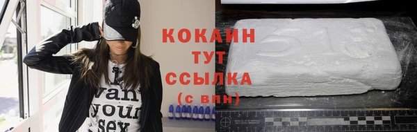 индика Лагань