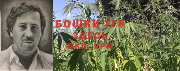 скорость Кедровый
