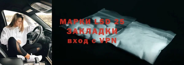 индика Лагань