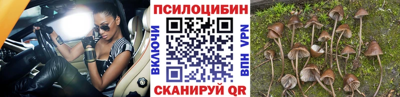 Псилоцибиновые грибы Magic Shrooms  где купить наркотик  KRAKEN tor  Курильск 